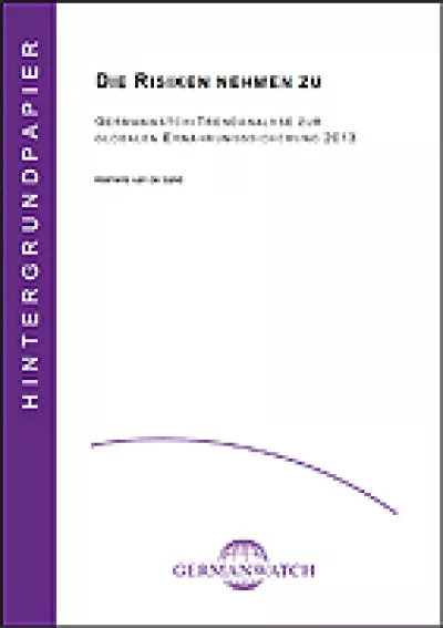 Cover Trendanalyse 2013