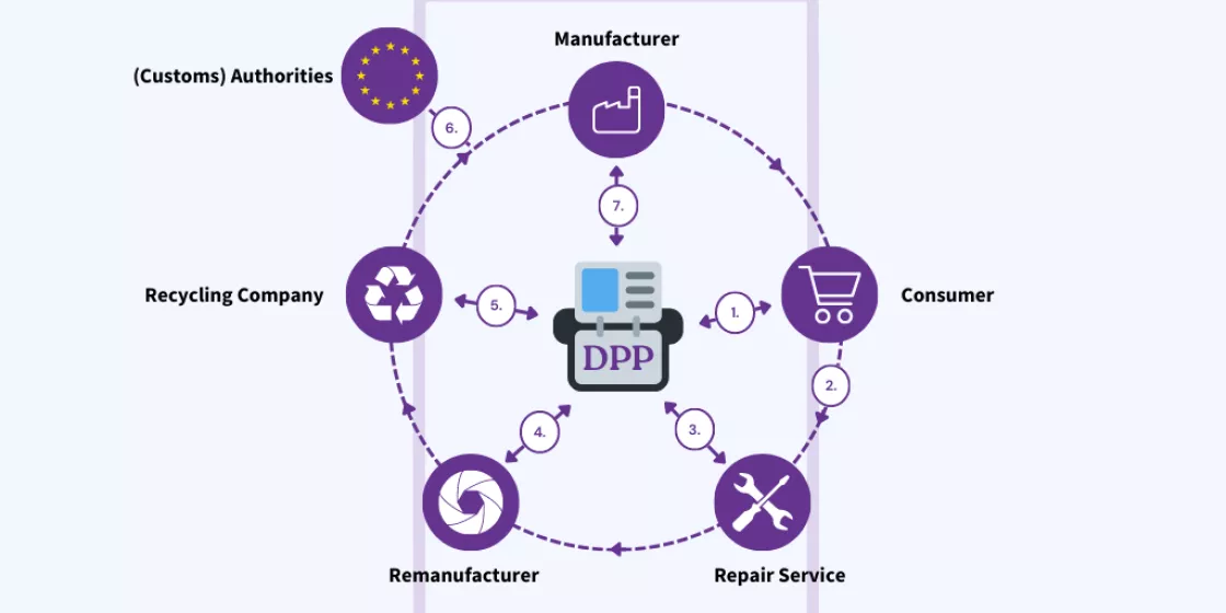 Info graphic about the different stages of the DPP