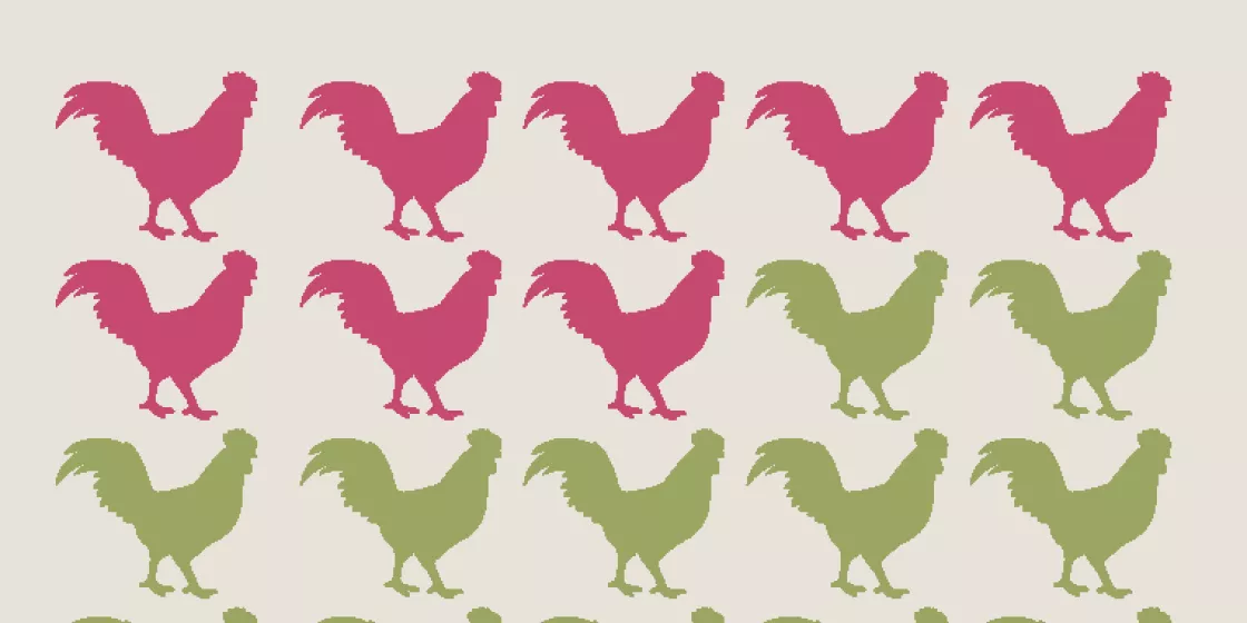 GW_Weitblick_02-2019_Hähnchenfleisch-2