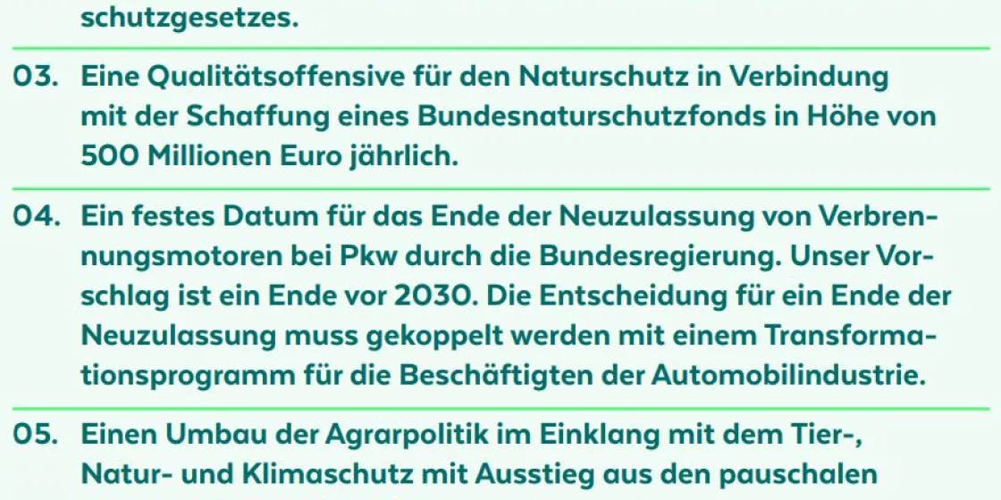 DNR Forderungen zur BTW21 im Überblick 2021