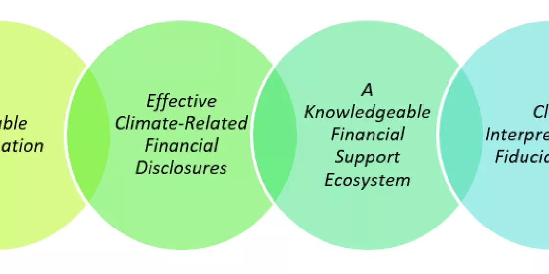 Foundation Elements of Sustainable Finance