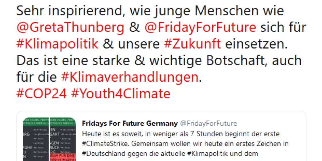 Meldung: FridaysforFuture