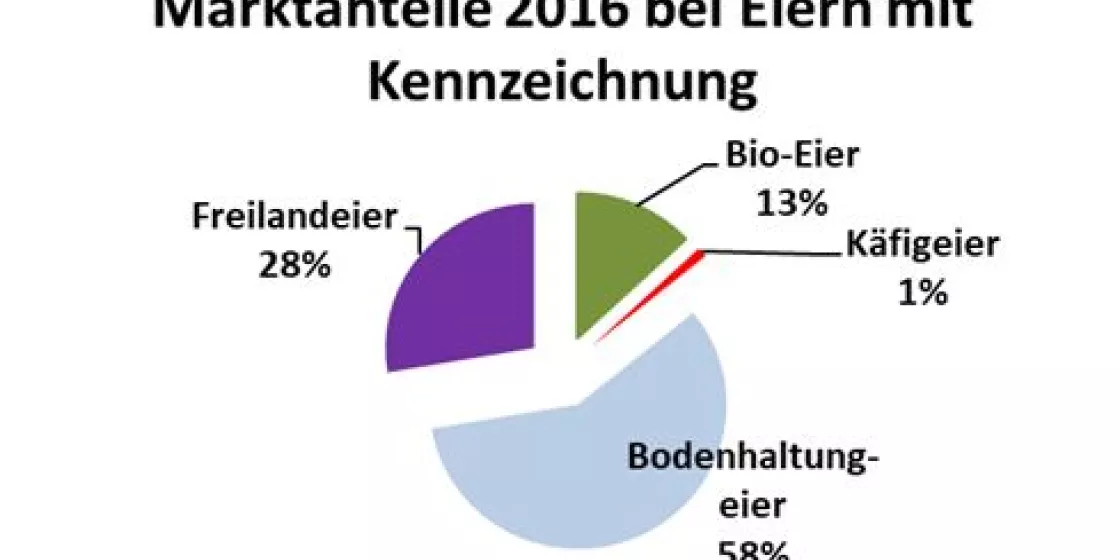 Marktanteile für gekennzeichnete Eier im Jahr 2016