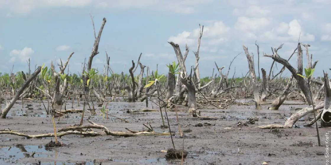 Weitblick-Bild: 03/2013 - Debatte um Schäden durch den Klimawandel