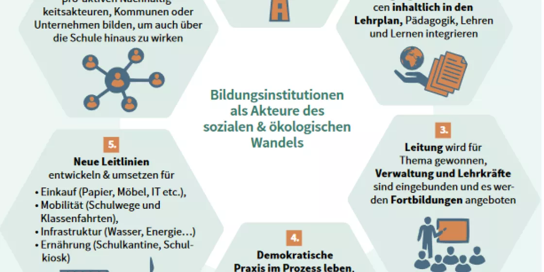 Weitblick 2021-01 Taxonomie Kasten