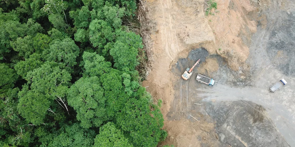 Luftbild von Entwaldung in Borneo