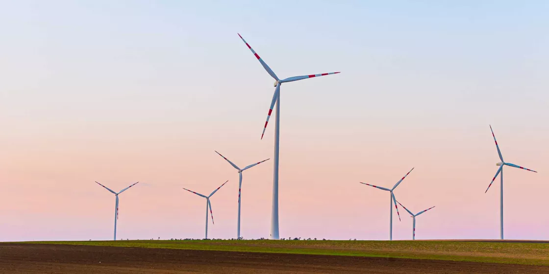 Windräder auf einem Feld