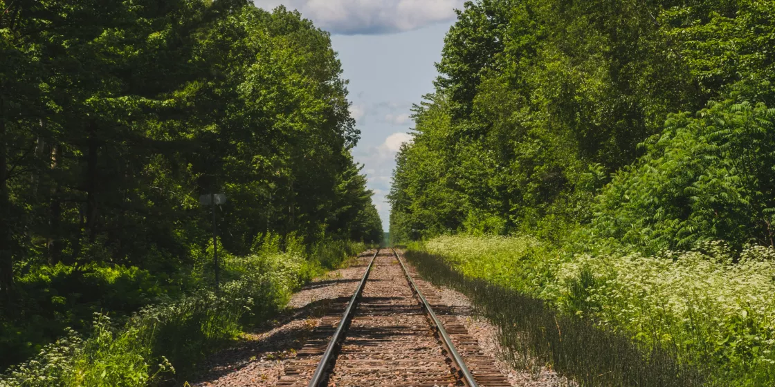 Blick auf ein Bahngleis im Grünen