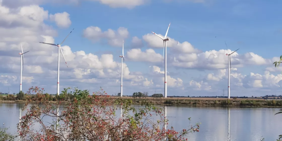 Windräder stehen hinter einem See