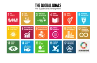 Sustainable Development Goals 2015