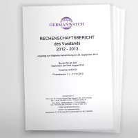 Rechenschaftsbericht 2012-13