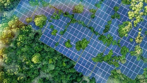 Solarpanels mit Bäumen