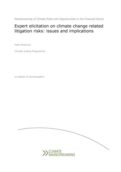 Expert elicitation on climate change related litigation risks: issues and implications