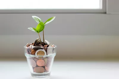 Pflanze wächst auch Glas gefüllt mit Münzen