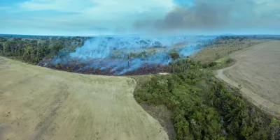 Bild: Illegales Feuer verbrennt Waldbäume im Regenwald des Amazonas, Brasilien.