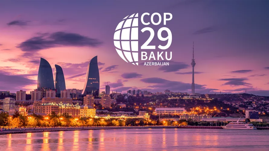 COP29: UN Climate Talks In Baku 2024 | Germanwatch E.V.