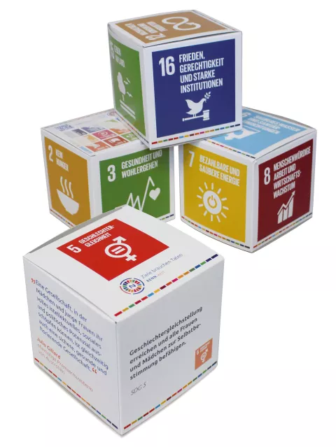 SDG-Würfel