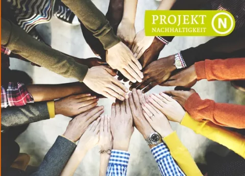 Projekt N