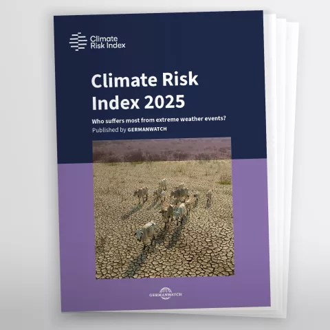 First page of the climtae risk index