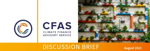 Cover Discussion Paper MDBs’ partnerships with international climate funds