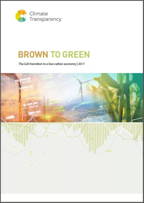 Cover: Brown to Green 2017