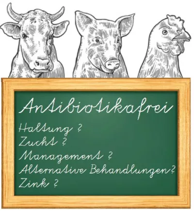 Bild: Fachtagung Antibiotikaminimierung in Nutztierhaltungen