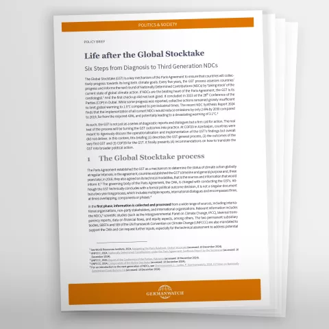 Preview policy brief