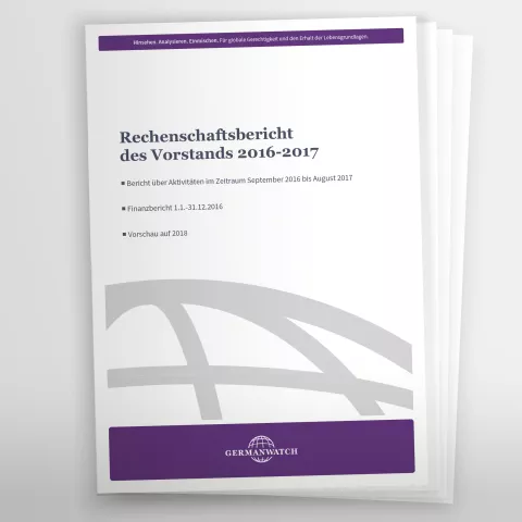 Rechenschaftsbericht 2016-17