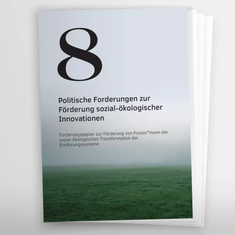 Vorschaubild Politische Forderungen zur Förderung sozial-ökologischer Innovationen