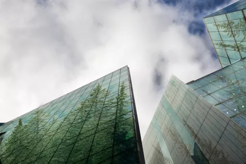 High rises with reflections of trees