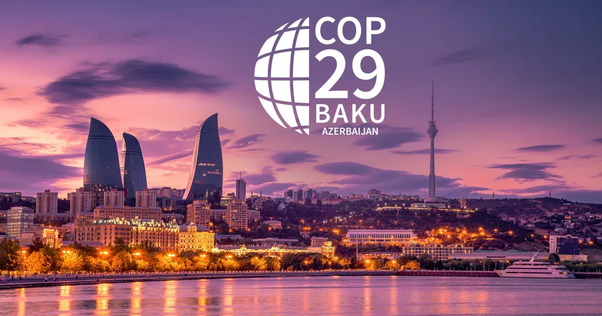 COP29: UN Climate Talks In Baku 2024 | Germanwatch E.V.