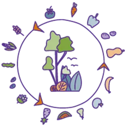 Illustration eines Kreises mit Lebensmitteln, in der Mitte sind Bäume und Blätter