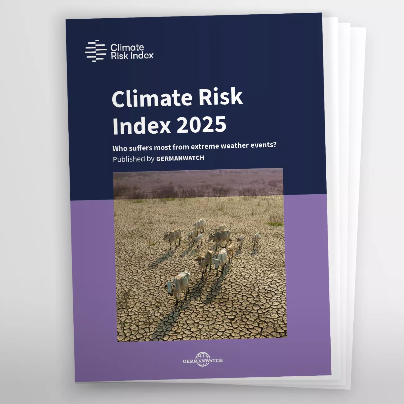 First page of the climtae risk index