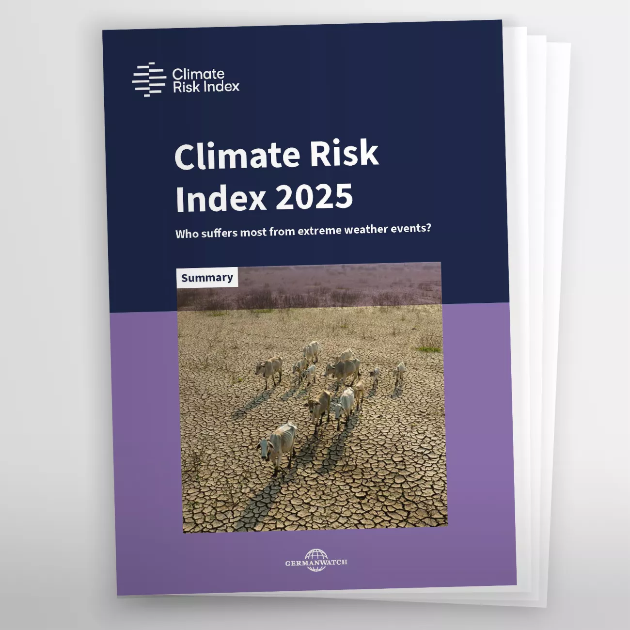 First page of the summary of the climate risk index