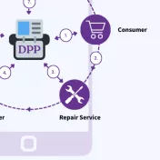 Info graphic about the different stages of the DPP