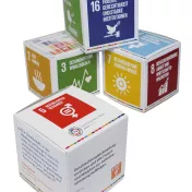 SDG-Würfel