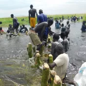 Foto, das einen gemeindebasierten Deichbau im Südsudan 2019 zeigt