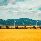 Windräder in einem Feld vor Bergen