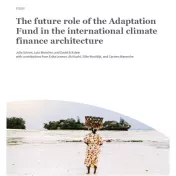 Cover The future role of the Adaptation Fund in the international climate finance architecture