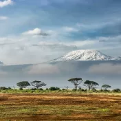 Blick in den Amboseli-Nationalpark in Kenia