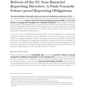 Cover: Reform of the EU Non-financial  Reporting Directive: A Push Towards  Future-proof Reporting Obligations