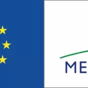 Logo EU Mercosur