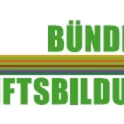 Logo Bündnis Zukunftsbildung