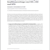 Cover: Menschenrechts-, entwicklungs- und rohstoffpolitische Bewertung des Koalitionsvertrags von CDU, CSU und SPD