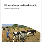 Cover Food security