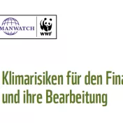 Cover G20 Klimarisiken Finanzsektor von WWF Germanwatch