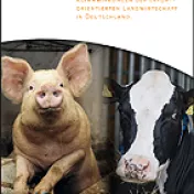 Cover Schweine im Weltmarkt