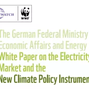 Cover White Paper on the Electricity Market and the New Climate Policy Instrument