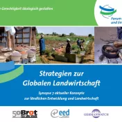 Deckblatt: Strategien zur Globalen Landwirtschaft