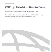 Cover: Hintergrundpapier Analyse zur COP23